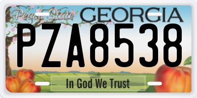 GA license plate PZA8538