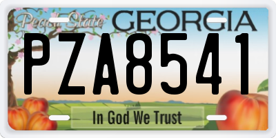 GA license plate PZA8541