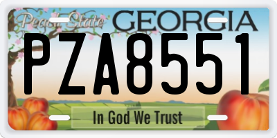 GA license plate PZA8551