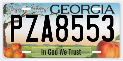 GA license plate PZA8553