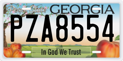 GA license plate PZA8554