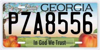 GA license plate PZA8556