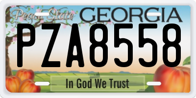 GA license plate PZA8558