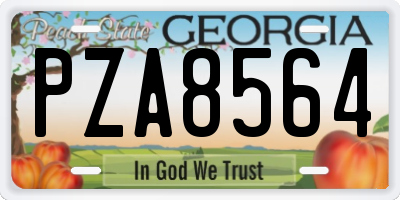 GA license plate PZA8564
