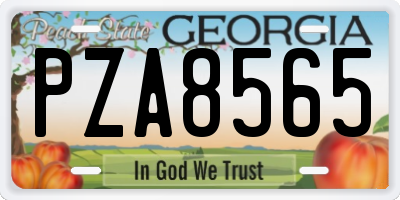 GA license plate PZA8565