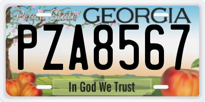 GA license plate PZA8567