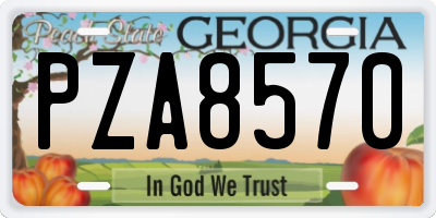 GA license plate PZA8570