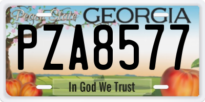GA license plate PZA8577