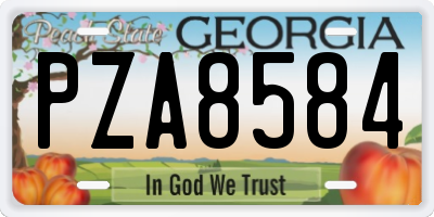 GA license plate PZA8584