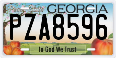 GA license plate PZA8596