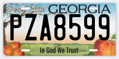 GA license plate PZA8599
