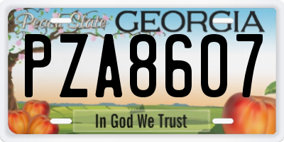 GA license plate PZA8607