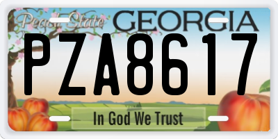 GA license plate PZA8617