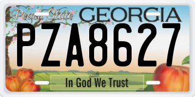 GA license plate PZA8627