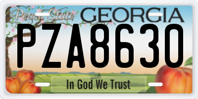 GA license plate PZA8630