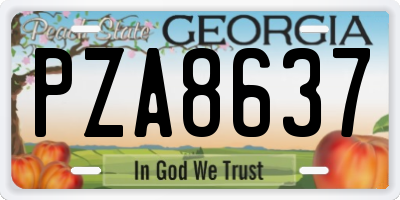 GA license plate PZA8637