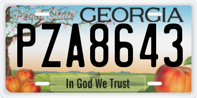 GA license plate PZA8643