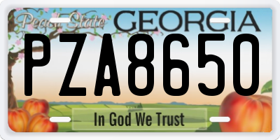 GA license plate PZA8650
