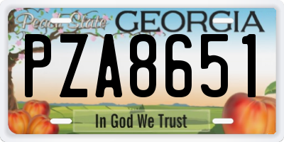 GA license plate PZA8651