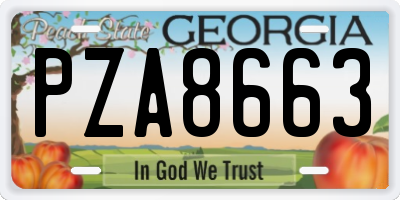 GA license plate PZA8663