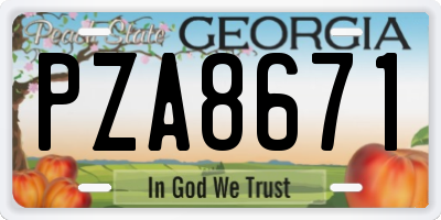 GA license plate PZA8671