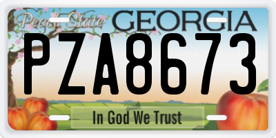 GA license plate PZA8673