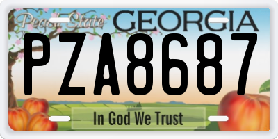 GA license plate PZA8687