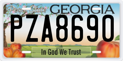 GA license plate PZA8690