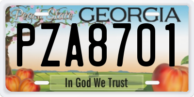 GA license plate PZA8701