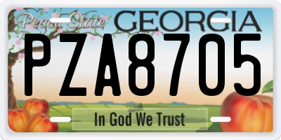 GA license plate PZA8705