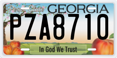 GA license plate PZA8710