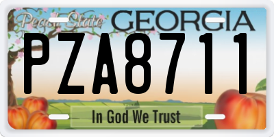 GA license plate PZA8711