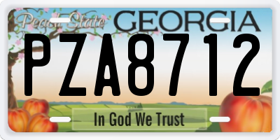 GA license plate PZA8712
