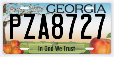 GA license plate PZA8727