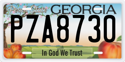 GA license plate PZA8730