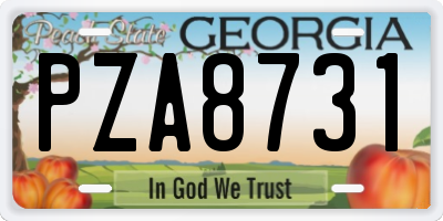 GA license plate PZA8731