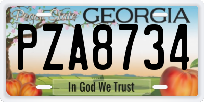 GA license plate PZA8734