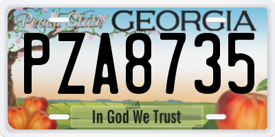 GA license plate PZA8735