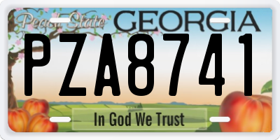 GA license plate PZA8741
