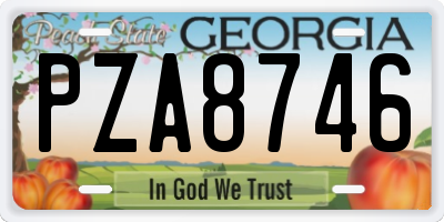 GA license plate PZA8746