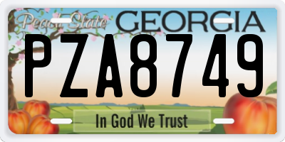 GA license plate PZA8749