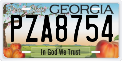 GA license plate PZA8754