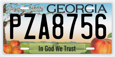 GA license plate PZA8756