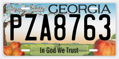 GA license plate PZA8763