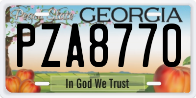 GA license plate PZA8770