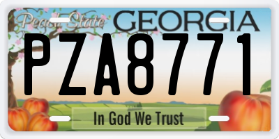 GA license plate PZA8771