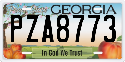 GA license plate PZA8773