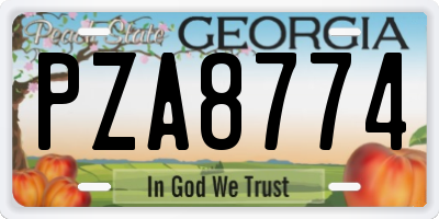 GA license plate PZA8774