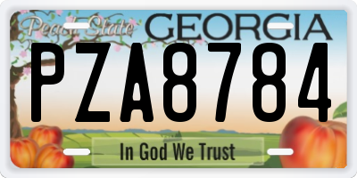 GA license plate PZA8784