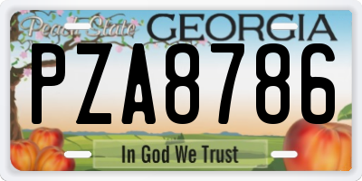 GA license plate PZA8786